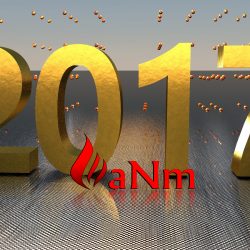 aNm's 2017