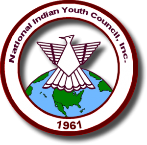 NIYC logo